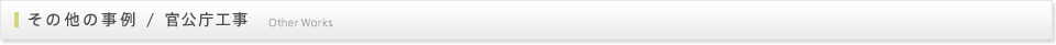 その他の事例